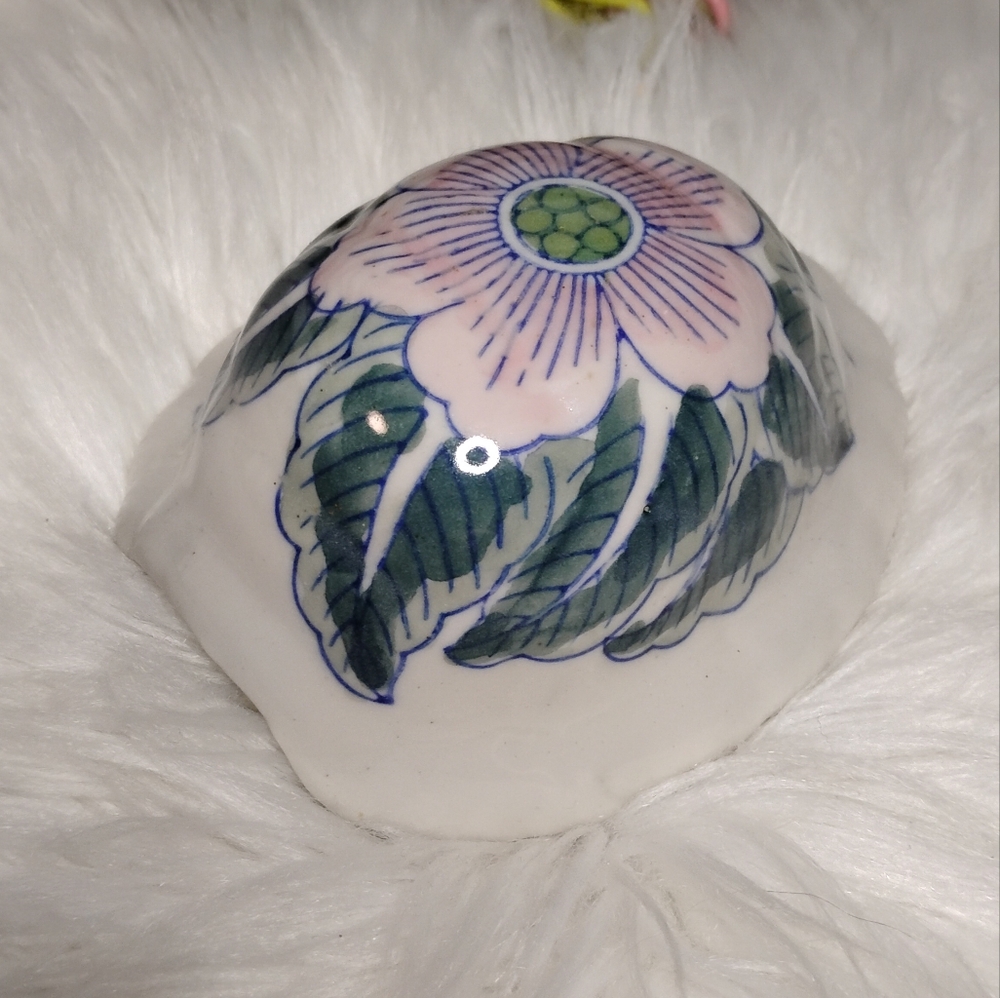 Beautiful turtle shell decor